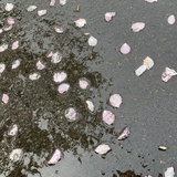 雲水逢