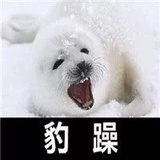 喵喵咪呀