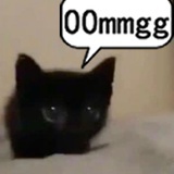 cpmuppebyackwav