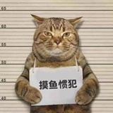 晨晨星