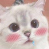 叶子miu