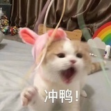 囍