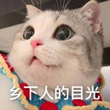 游离人世间