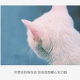 qq1624575606