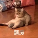 你吃胡萝卜🥕