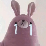 柚子逆蝶🍧