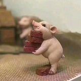 小豆老师