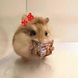 旺仔牛奶糖