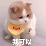 饱饱要开心