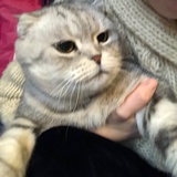 最爱小宝了
