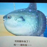 翻车鱼