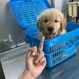 我好了