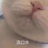 豆瓣小炒肉
