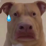 唧唧歪歪
