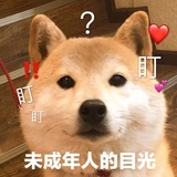 可能是只猪