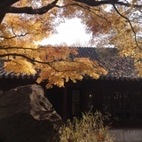 谌shenj