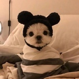 汐