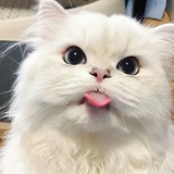 豆友1957881156