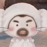 天天举报谜语人