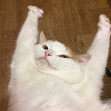 猜猜我是谁