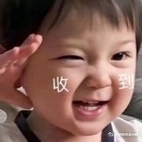 一只吃可颂的崽