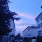 柚子团团