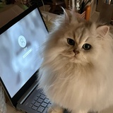 犹豫就会败北