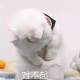 岭南明珠