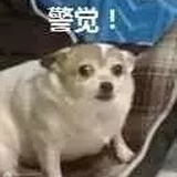 远坂凛