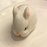之梧桐夜语