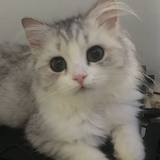 滴滴滴滴丢丢丢