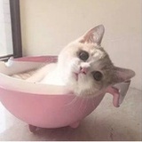 皮克斯