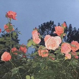 许大都督