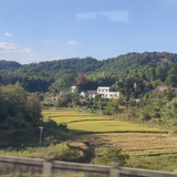 么么大大