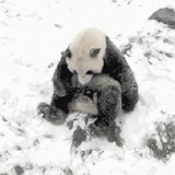 釉青