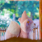 扶苏