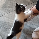 wwwwww