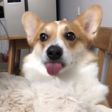 🍧小仙贝🍥
