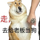 是芝士不是知世