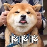 老铁没猫饼