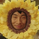 豆花儿