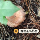 沉默 