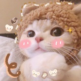 哈哈王子