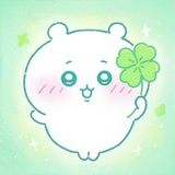 momo酱