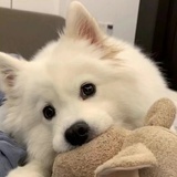 Waddles
