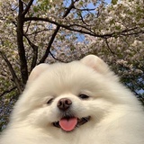用户名太长