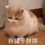 penguinwings