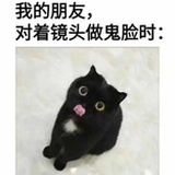 丹青诉墨染
