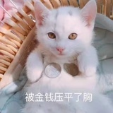 谁也不粉了！