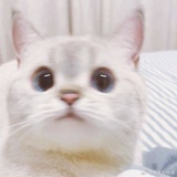 Ffffi